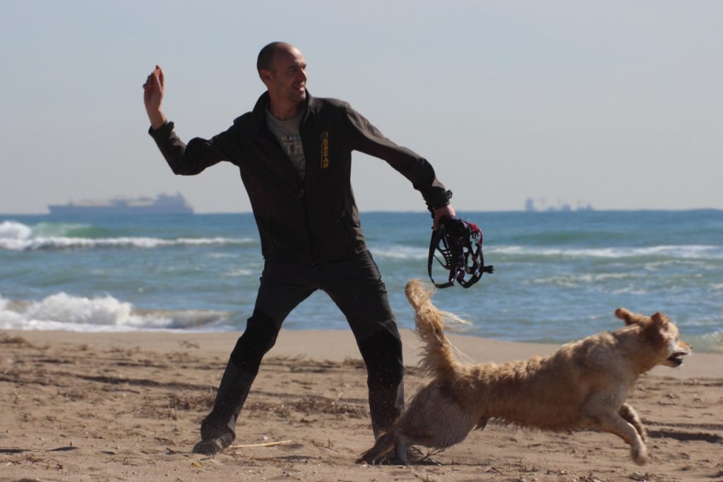 Boncan, adiestramiento, educación y modificación de conducta canina en Barcelona