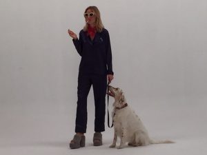 Boncan, adiestramiento, educación y modificación de conducta canina en Barcelona - Anuncio de Vogue
