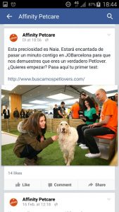 Boncan, adiestramiento, educación y modificación de conducta canina en Barcelona - Trabajo publicitario de Affinity con perros.