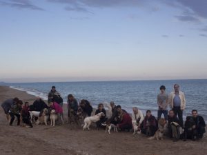Boncan, adiestramiento, educación y modificación de conducta canina en Barcelona - Paseos de socialización en Barcelona