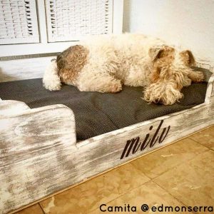 Boncan, adiestramiento, educación y modificación de conducta canina en Barcelona - Artículo sobre el descanso en para los perros.